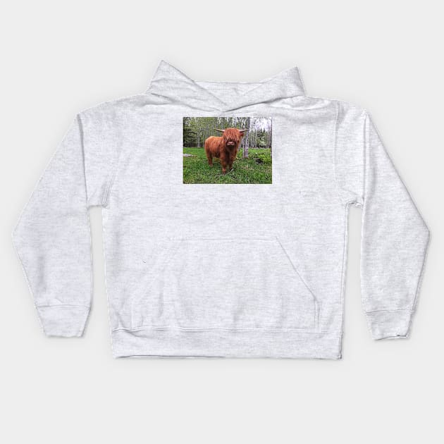 Scottish Highland Cattle Calf 2004 Kids Hoodie by SaarelaHighland